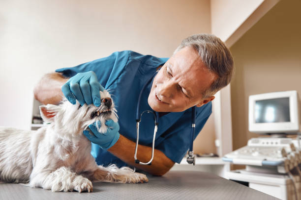 Best Dental Abscess Treatment in Dubois, PA